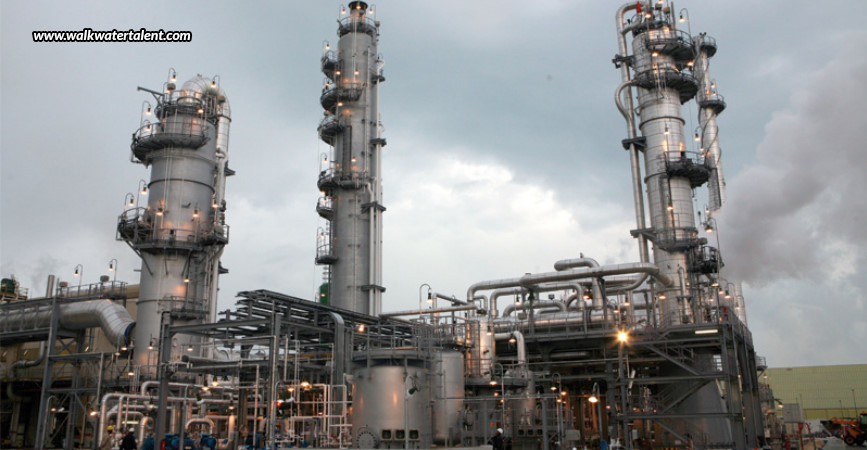 Industry Paper - Petrochemicals Industry